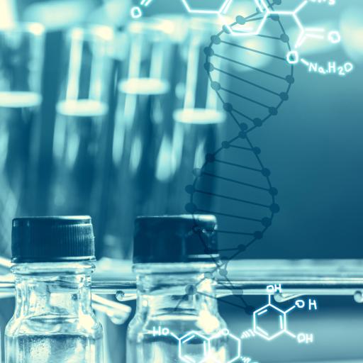 b--about-us--THE-shidto-DNA-image.jpg